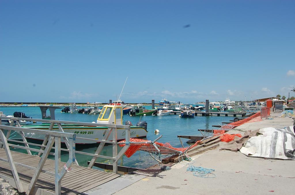 Iguana Studio Vue Mer Avec Cuve Saint-Francois  Buitenkant foto