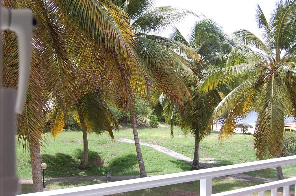 Iguana Studio Vue Mer Avec Cuve Saint-Francois  Buitenkant foto